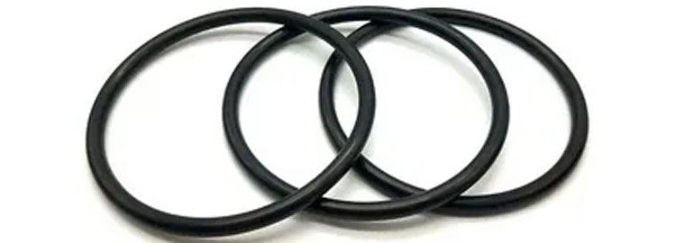 Nitrile Buna-N Seal Rings manufacturers