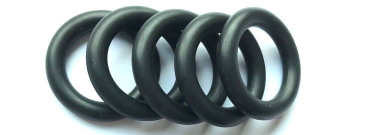 Polyacrylate (ACM) Seal Rings Manufacturers in India